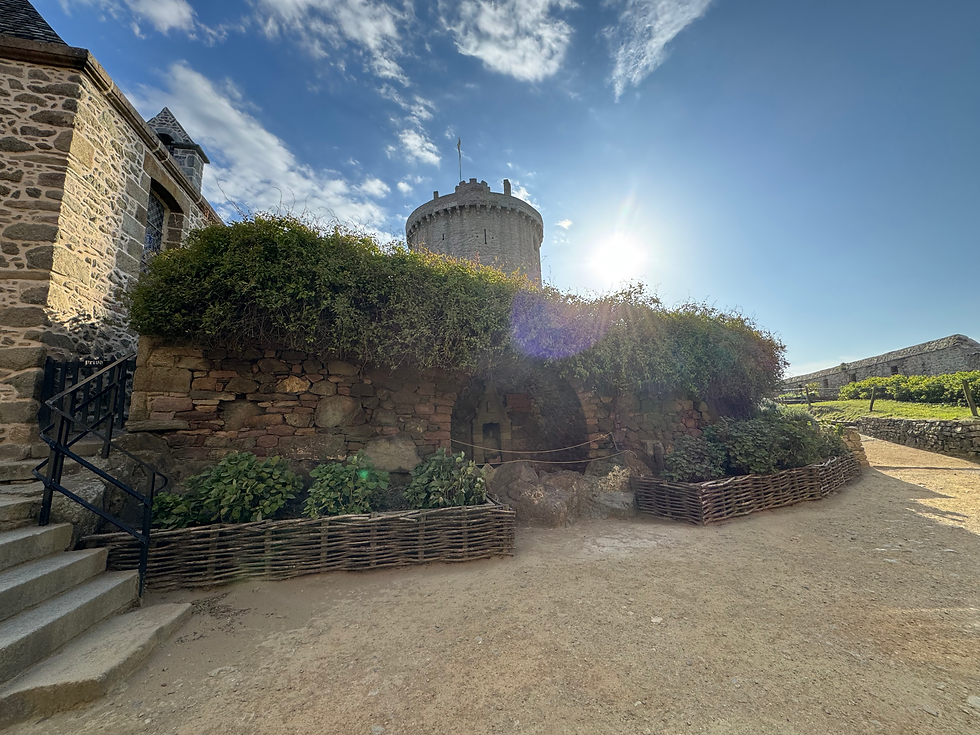 la fontaine du château de la roche Goyon