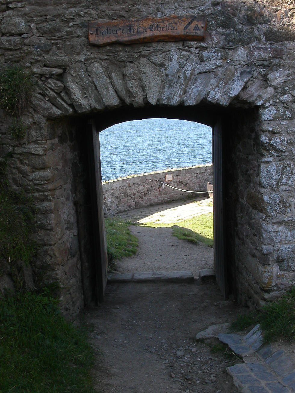 La petite porte d'accès à la batterie basse