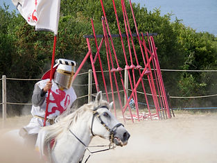 P1280748 copie.jpg