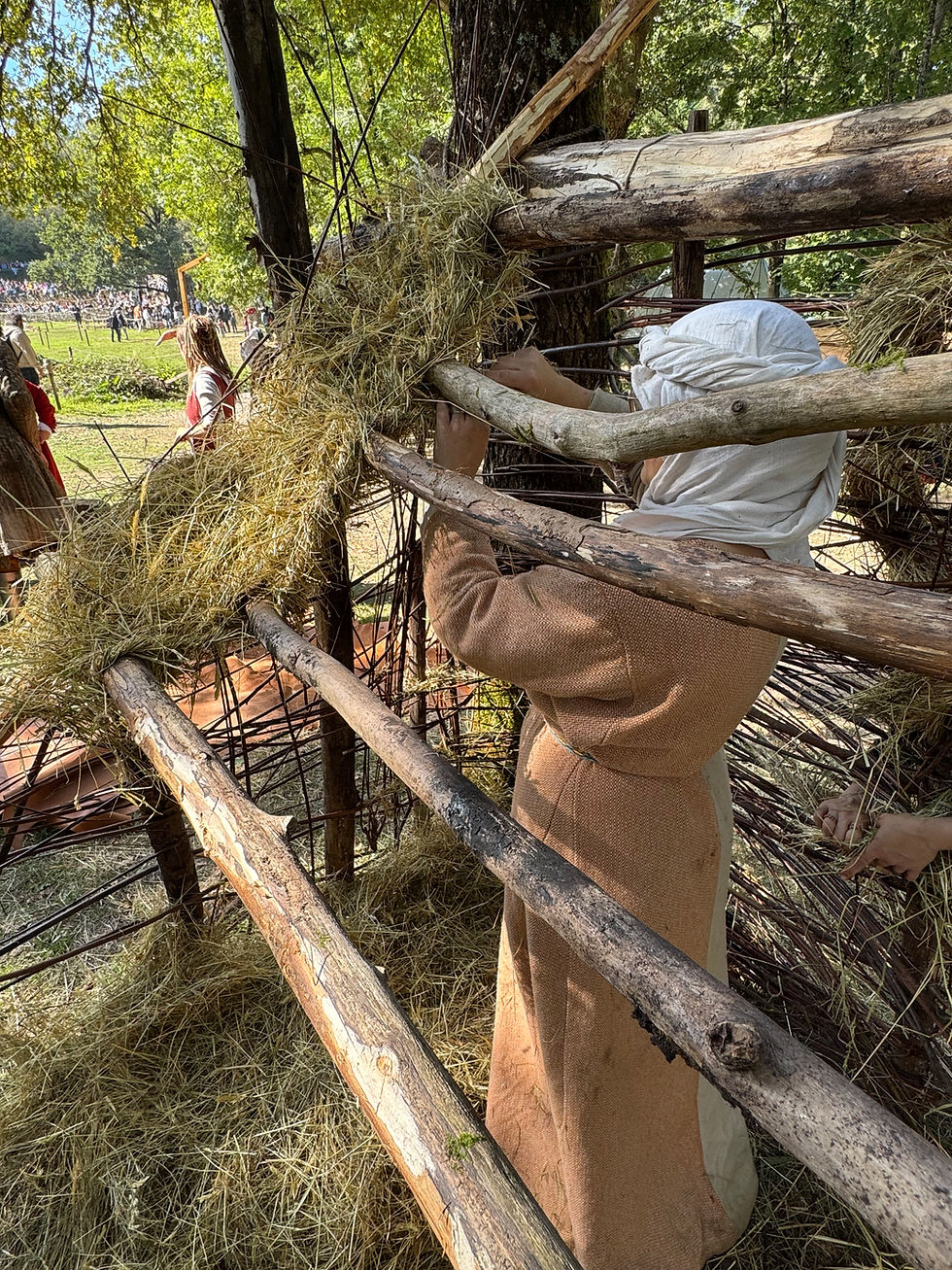structure de la cabane de bois et de foin tressé entre deux arbres sur le campement de Totius Britanniae avec Myrzinn Jaouen (2025)