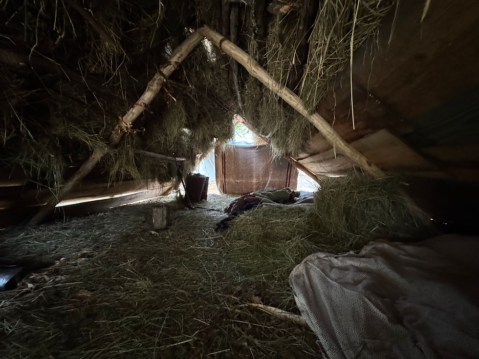 La structure depuis l'intérieur de la tente du campement de Totius Britanniae