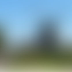 Nieuwsbrief juni 2024