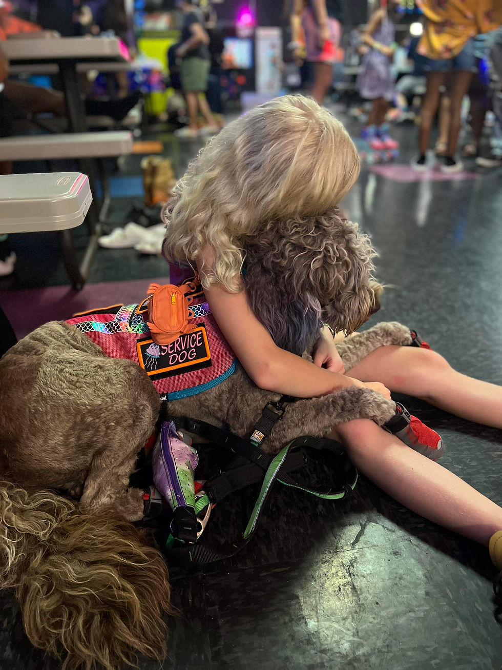 Medical Alert Service Dog, Service Dogs Texas
