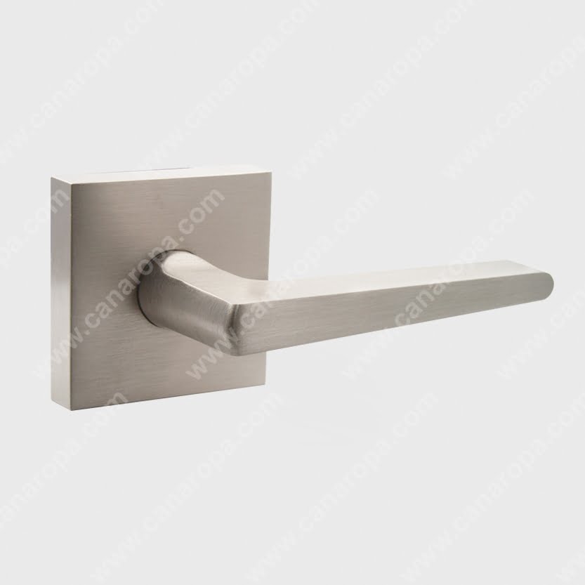 livia-lever-square canaropa.jpg