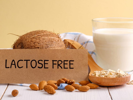 Receitas Para Intolerantes a lactose