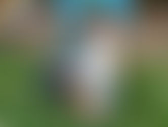 レッツゴー！！