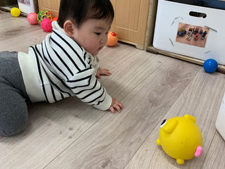 にらみあいっこ👀