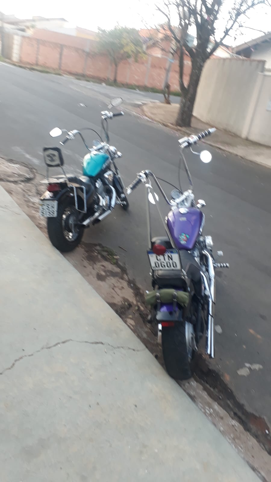Excluidos M.C