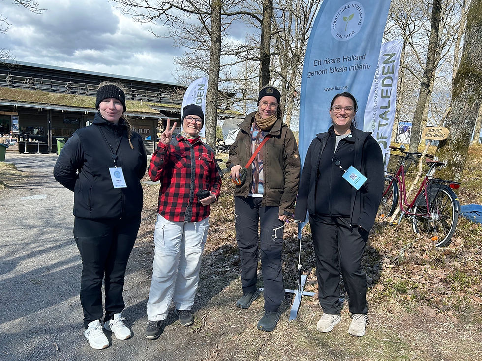 Välbesökt på Kungsbacka Outdoor festival