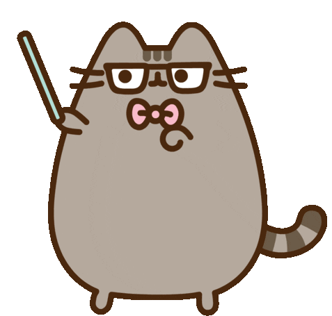 cat-kitty.gif