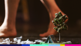 Sous la feuille, coup d’envoi d’une tournée de 25 dates en France !