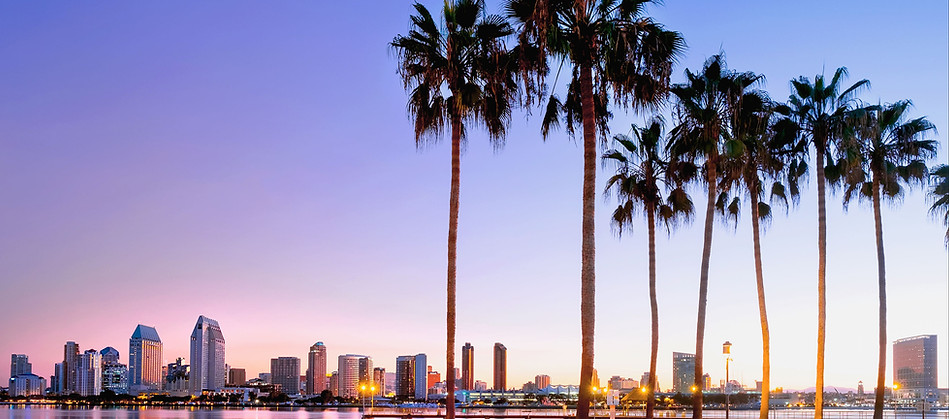 San-Diego-Palm-Trees.jpg