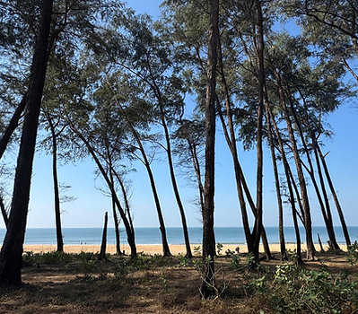 Single room - £250 non-refundable deposit