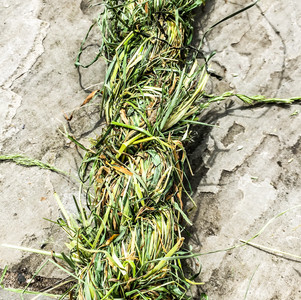 Cordage