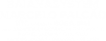 LINE (5).png