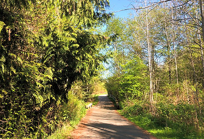 Dollymount path in Qualicum Beach