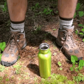 giphy-downsized-large.gif
