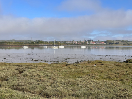 Our Favourite Things to Do With Kids in Mistley and Manningtree, Essex