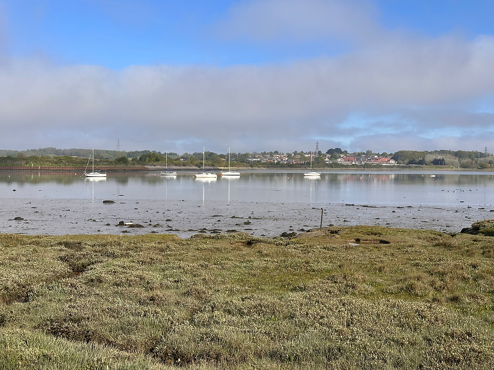 A view of the river stour and estuary from Manningtree