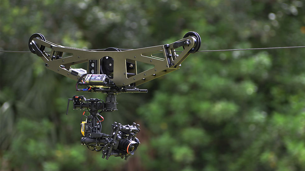 Line Dolly4