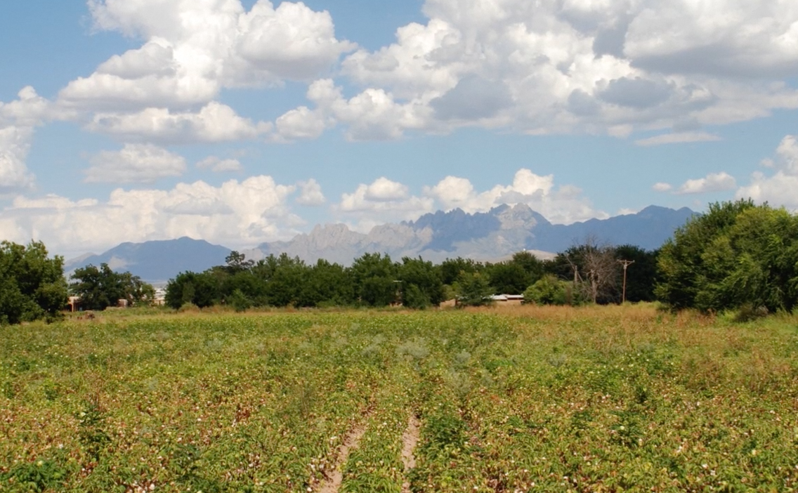 Mesilla Area Trinity Homes of Las Cruces