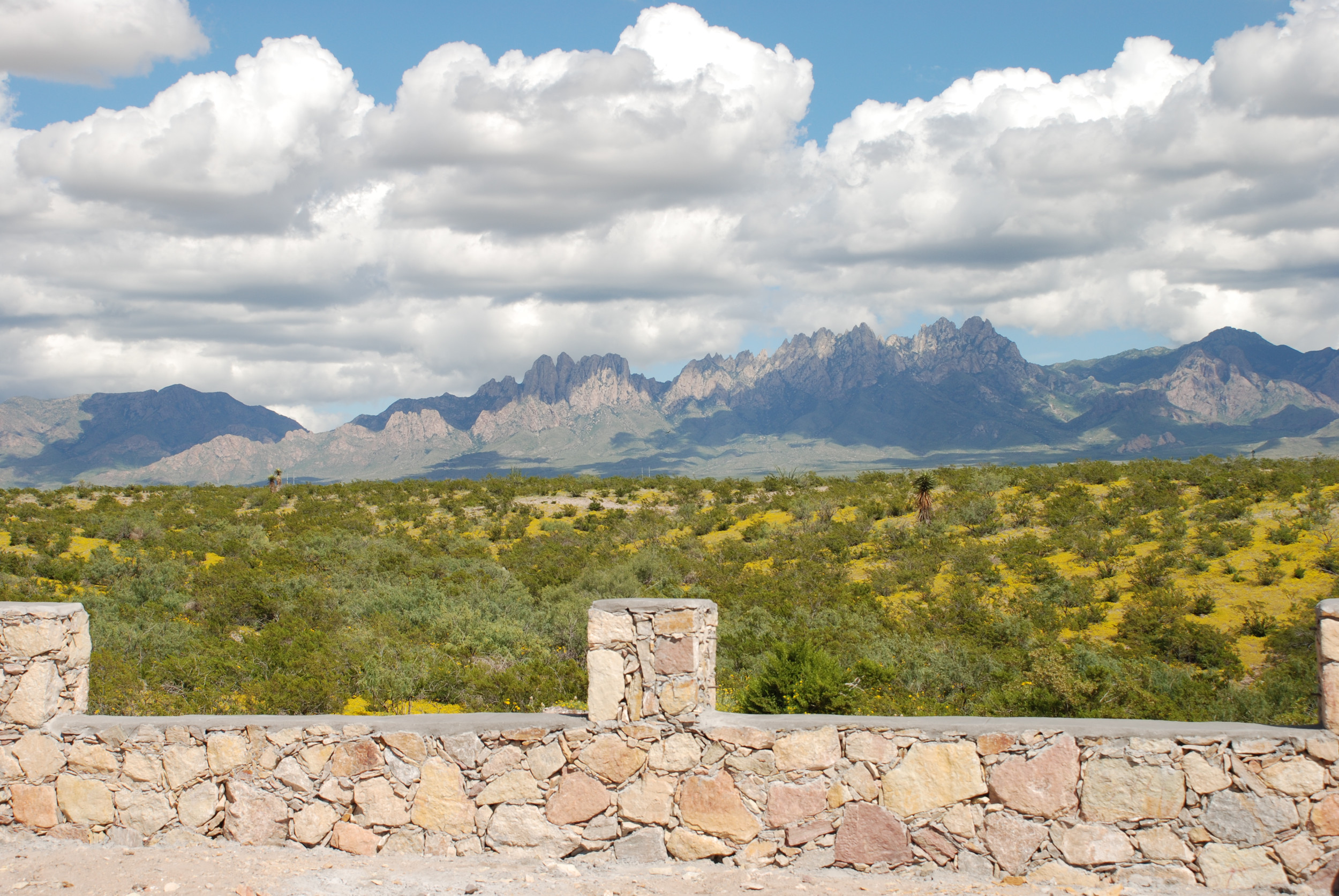 Sonoma Ranch Area Trinity Homes of Las Cruces
