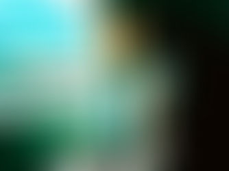 Vagal Nerve Exercises: Fight, Flight, Freeze, Fawn