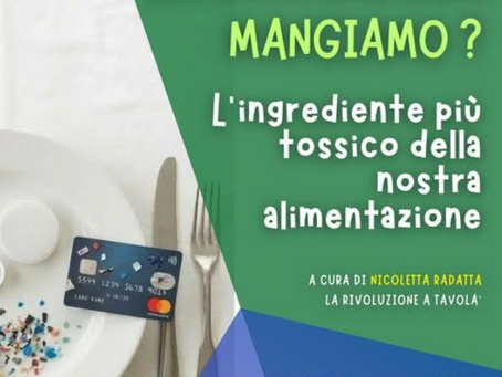 Vivere con cura: la plastica dei piatti, come evitarla, nuovo incontro con Nicoletta Radatta