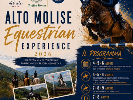 Fise Molise: a Staffoli il primo grande evento di equitazione in Molise dal 3 al 9 agosto