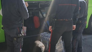 Servizio coordinato di controllo del territorio della Compagnia Carabinieri di Termoli svolto congiuntamente al Nucleo Carabinieri Cinofili di Chieti