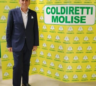 Cambio al vertice di Coldiretti Molise: Franco Dell’Acqua nuovo direttore regionale