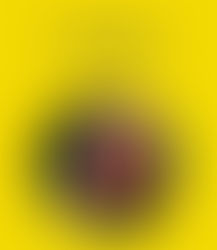 Settimo appuntamento con Autori in Biblioteca/ Presentazione del libro "Indagine su Ulisse"di Colella, Capezzali e Retta