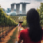 Who knows where vineyards will be planted in 50 years time? AI may change the way we grow grapes.