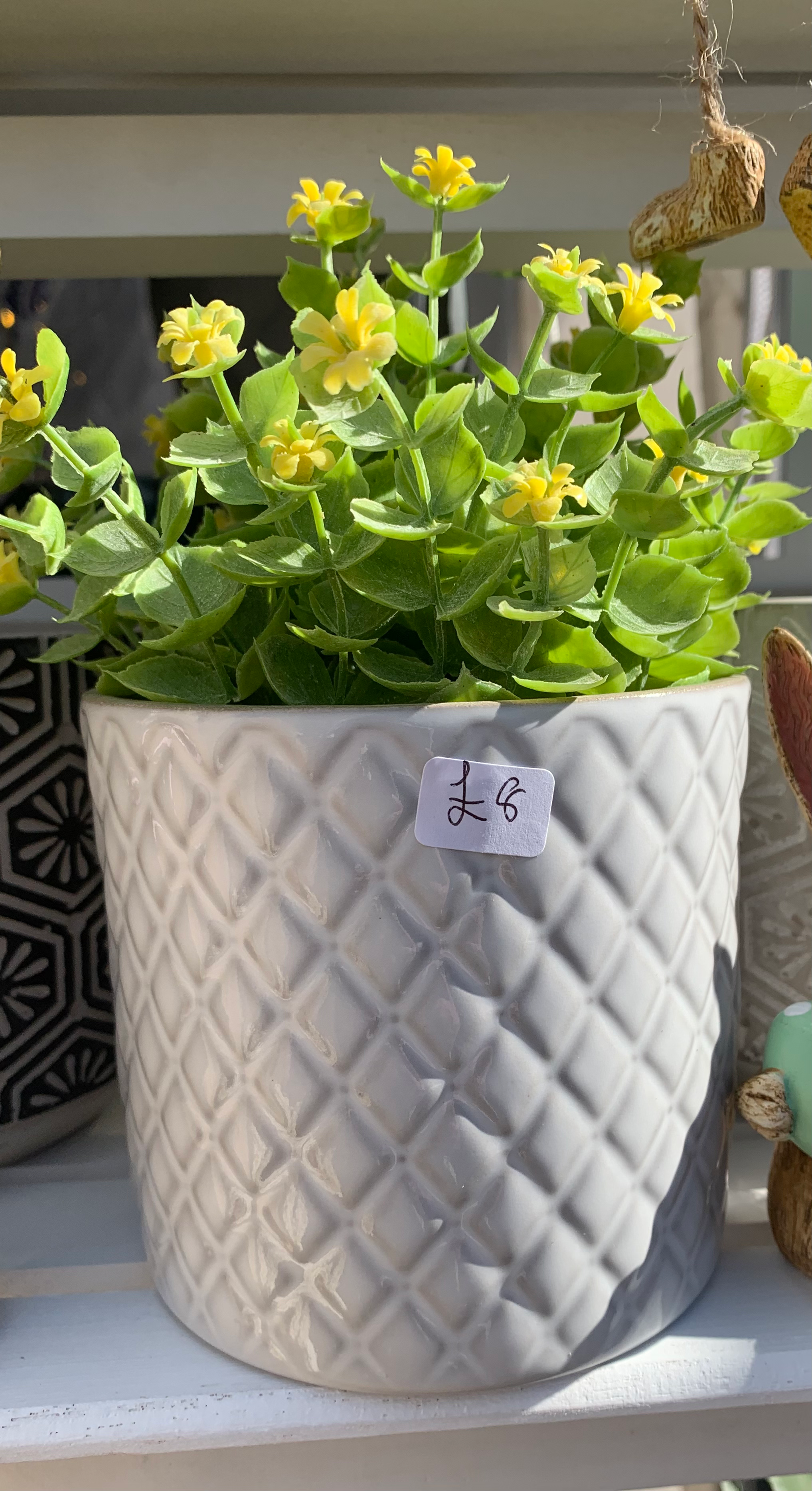 Cream Pot and Artificial Plant