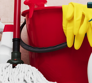 cleaning supplies mops .png