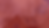 tree home 2.png