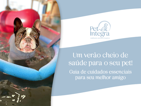 Um verão cheio de saúde para o seu pet: Guia de cuidados