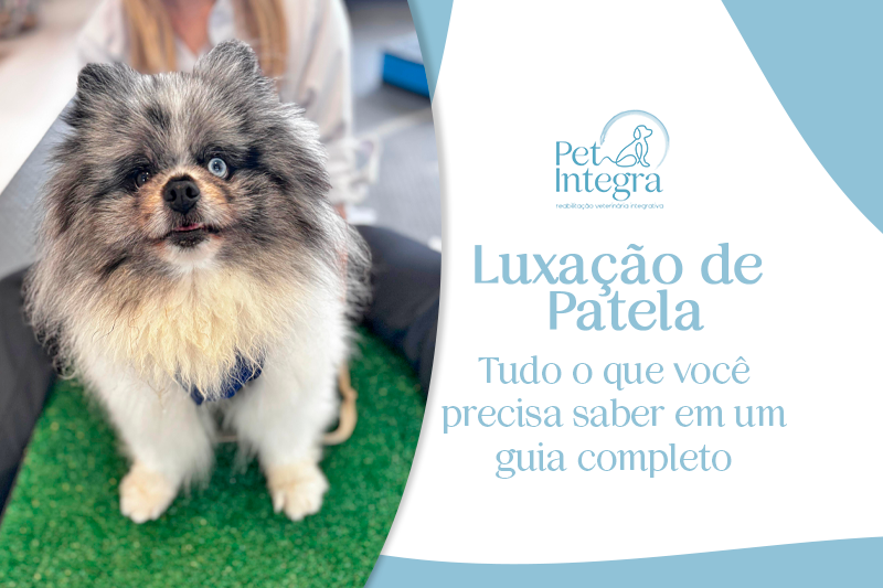 Luxação de Patela: Entenda o pulinho que Esconde um Alerta de Saúde