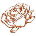 10.png