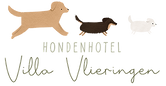 tekst logo.png