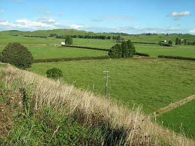 112 Mangaotea Road 10 Febuary2011 Farm 018.jpg