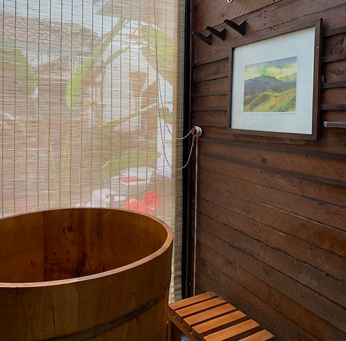 Herbal bath room