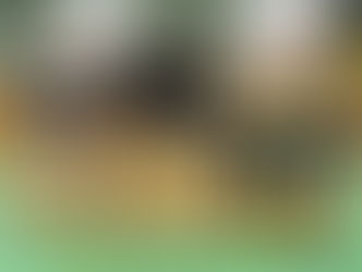 RTB-Teams starten beim Bundesfinale und den Deutschen Meisterschaften