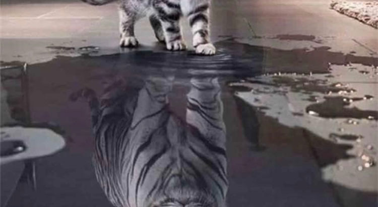 JUSTE UNE IMAGE...