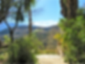 IMG_3491_edited.png