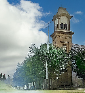 446 - Allison Brock_ 003 color.jpg