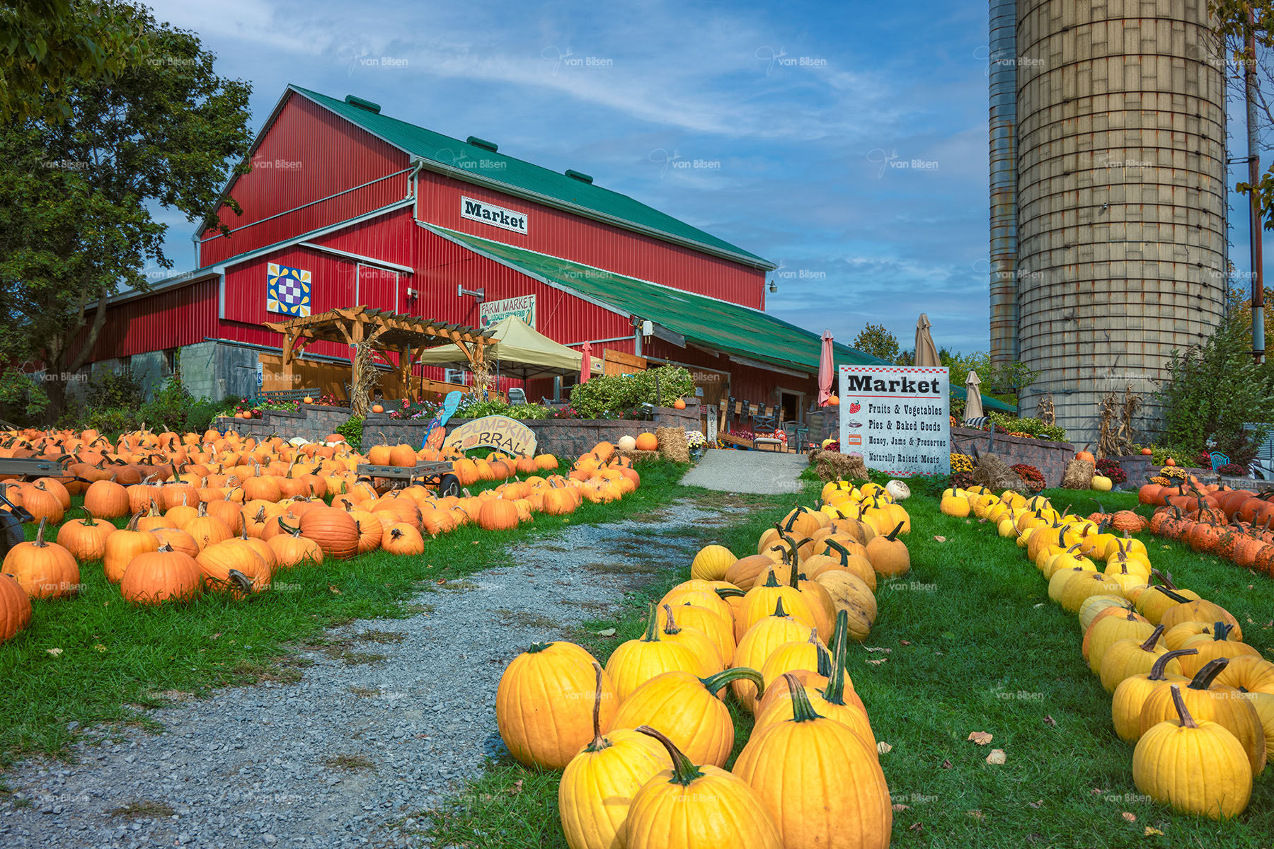 Around Port Perry 0640 - ©Jonathan van Bilsen