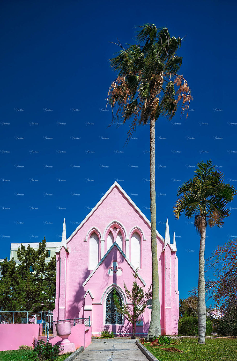 Images of Hamilton 001 - ©Jonathan van Bilsen