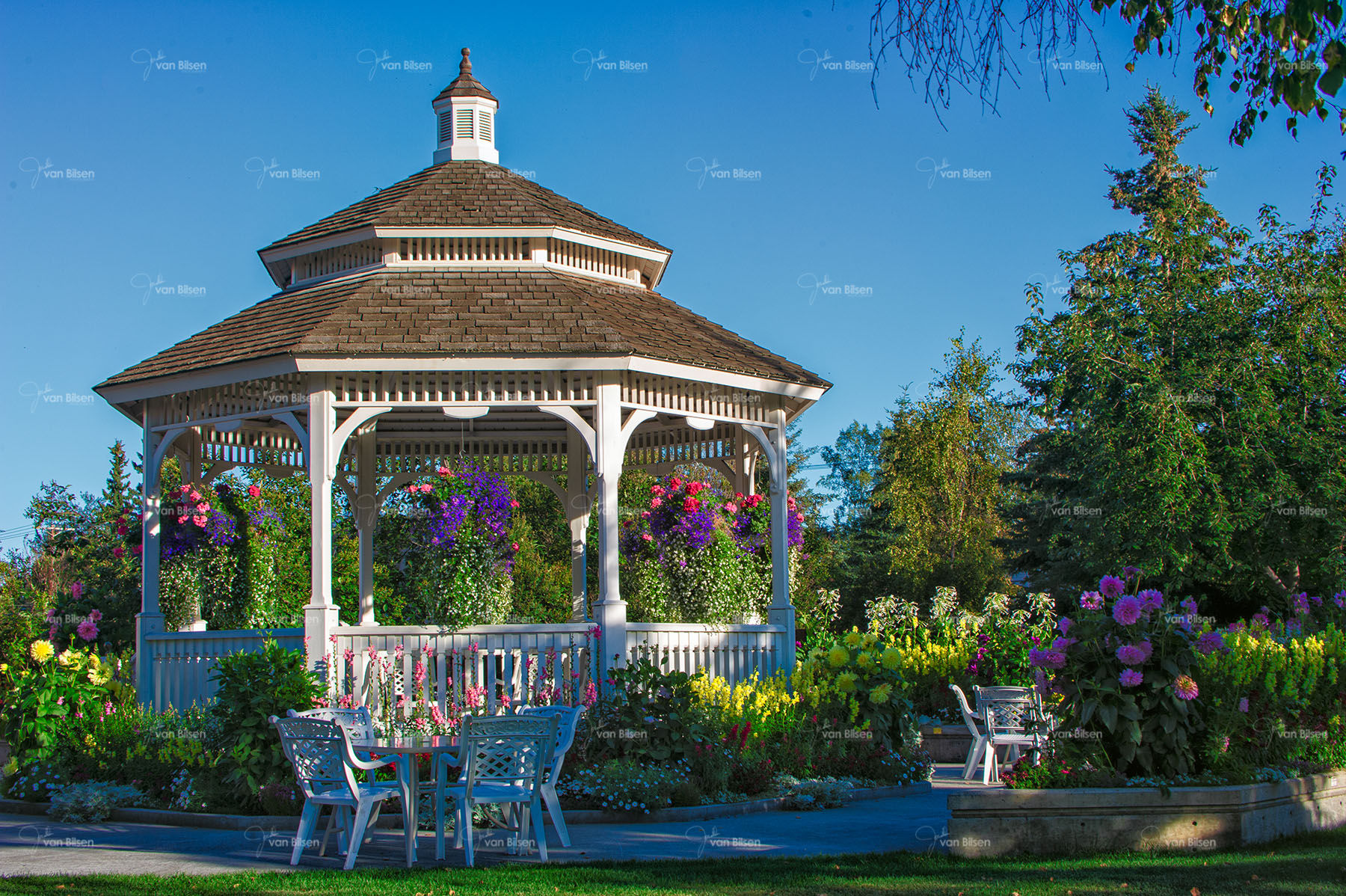 Images of Alaska 069 - ©Jonathan van Bilsen