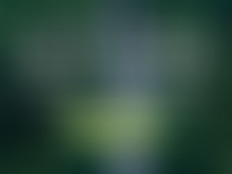 雲想科技藉由電子簽章,顛覆紙本簽署並迎合綠色永續